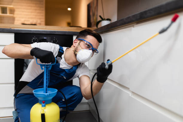 Best Wasp Removal Services  in Olmsted Falls, OH