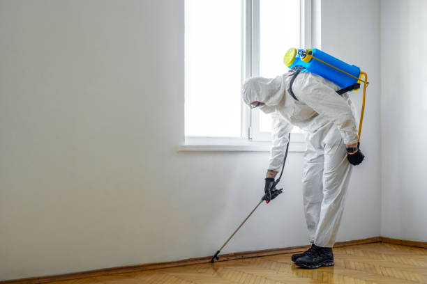 Reliable Olmsted Falls, OH Pest Control Solutions