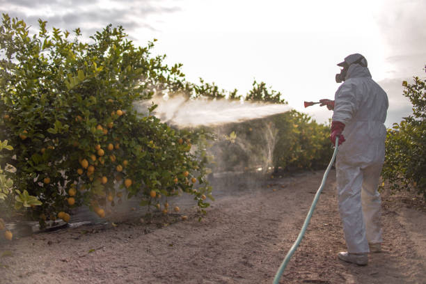 Best Local Pest Control Services  in Olmsted Falls, OH