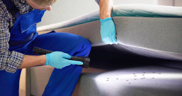 Best Ant Control Services  in Olmsted Falls, OH