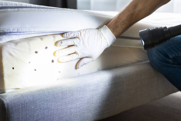 Best Best Pest Control Companies  in Olmsted Falls, OH