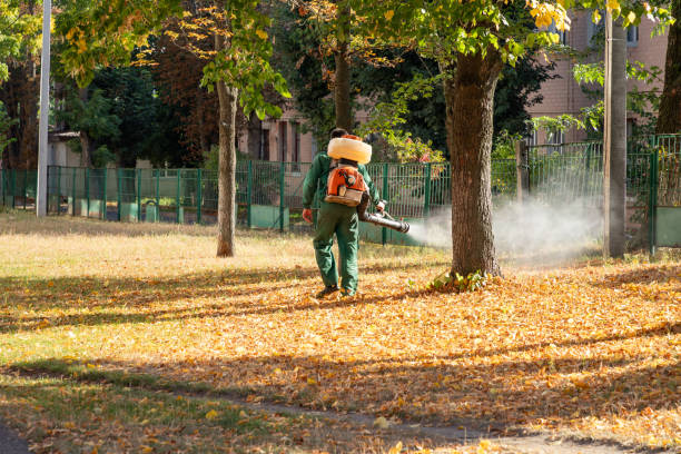 Best Bird Control  in Olmsted Falls, OH