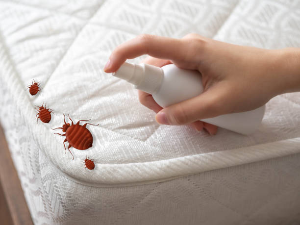 Best Commercial Pest Control Services  in Olmsted Falls, OH