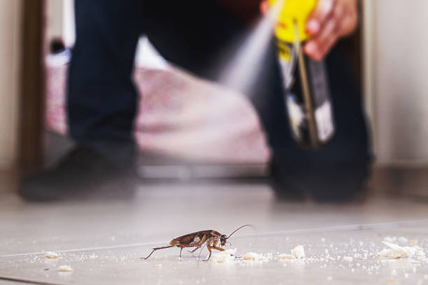 Best Pest Control Near Me in Olmsted Falls, OH