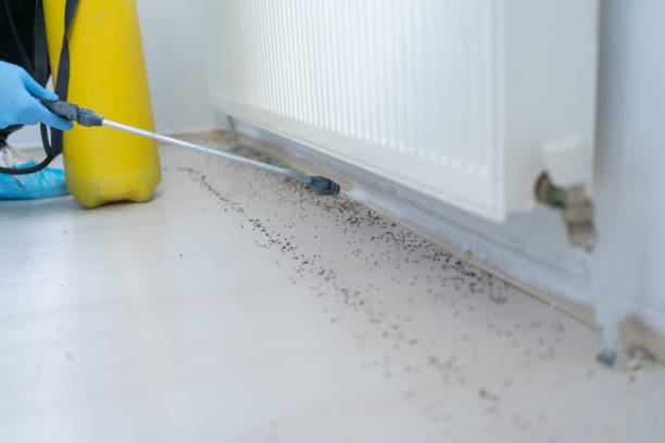 Best Pest Inspection Near Me  in Olmsted Falls, OH