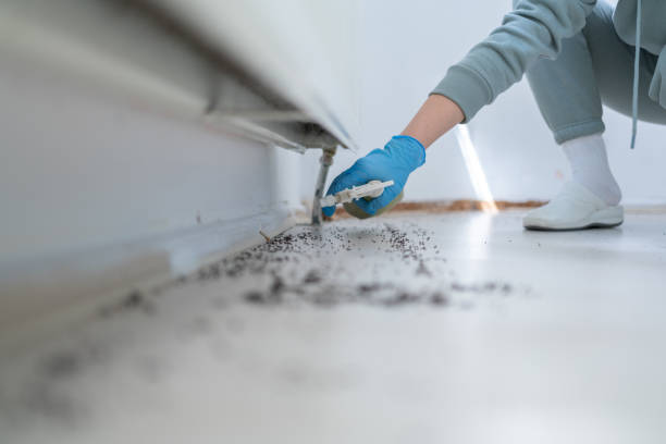 Best Affordable Pest Control Services  in Olmsted Falls, OH